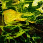 Partita Cove, 2003, Oil on canvas 14” x 14”