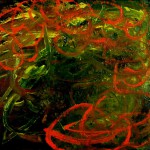 Rio Iguana, 2003, Oil on canvas 10” x 10”