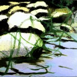 Tide Pool, II, Oil on canvas 10” x 10”