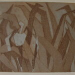 Wild Iris, etching / aquatint, 8” x 10” SOLD
