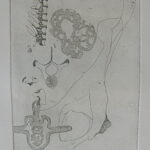 Bones II, etching / aquatint, 12” x 18 ¾”