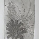 Crystal Cove II, etching / aquatint, 7” x 4" SOLD